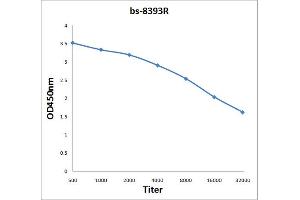 FBXW2 antibody  (AA 321-420)