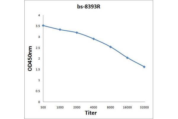 FBXW2 antibody  (AA 321-420)