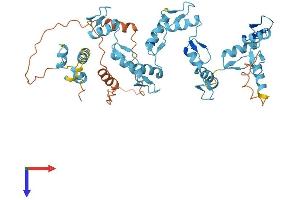 AlphaFold protein structure predicition of Human Recombinant ZNF140 Protein, UniprotID P52738