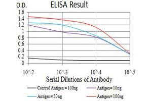 Black line: Control Antigen (100 ng), Purple line: Antigen(10 ng), Blue line: Antigen (50 ng), Red line: Antigen (100 ng), (ATG16L1 antibody  (AA 11-257))