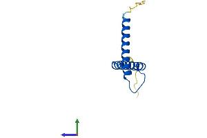 AlphaFold protein structure predicition of Mouse Recombinant Timm8a1 Protein, UniprotID Q9WVA2