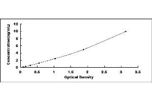 Typical standard curve (ENHO ELISA Kit)