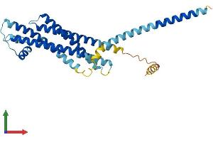 AlphaFold protein structure predicition of Human Recombinant STX3 Protein, UniprotID Q13277 (STX3 Protein (AA 1-289) (His tag))
