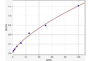 SDCCAG3 ELISA Kit