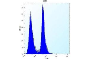 Flow cytometric analysis of U251 cells using SEL1L3 / KIAA0746 Antibody (N-term) Cat. (Sel1l3,kiaa0746 (AA 260-290), (N-Term) antibody)