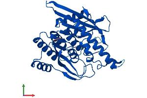 AlphaFold protein structure predicition of Mouse Recombinant Pdxk Protein, UniprotID Q8K183 (PDXK Protein (AA 1-312) (His tag))