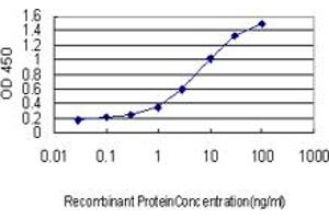 Detection limit for recombinant GST tagged WASF2 is approximately 0. (WASF2 antibody  (AA 73-172))