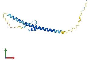 AlphaFold protein structure predicition of Human Recombinant ERICH4 Protein, UniprotID A6NGS2