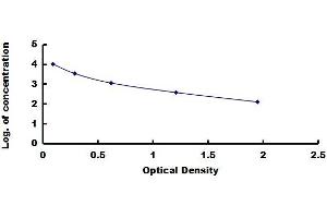 Typical standard curve