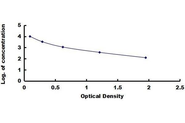 Ghrelin ELISA Kit