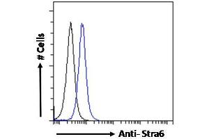 ABIN1019673 Flow cytometric analysis of paraformaldehyde fixed NIH3T3 cells (blue line), permeabilized with 0. (STRA6 antibody  (AA 187-199))