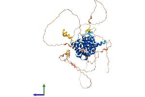 Protein Structure (PS) image for Phosphatidylinositol-4-Phosphate 5-Kinase, Type I, gamma (PIP5K1C) (AA 1-661) protein (His tag) (ABIN7562512)
