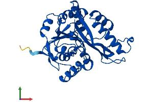 AlphaFold protein structure predicition of Human Recombinant MEMO1 Protein, UniprotID Q9Y316 (MEMO1 Protein (AA 1-297) (His tag))