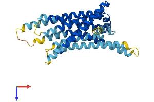 AlphaFold protein structure predicition of Mouse Recombinant Tas2r125 Protein, UniprotID Q7M710 (TAS2R125 Protein (AA 1-311) (His tag))