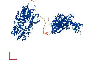 AlphaFold protein structure predicition of Mouse Recombinant Gne Protein, UniprotID Q91WG8