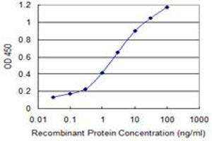 Detection limit for recombinant GST tagged SNAPC4 is 0. (SNAPC4 antibody  (AA 53-162))