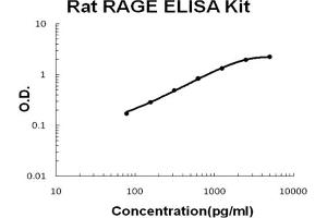 Rat RAGE Accusignal ELISA Kit Rat RAGE AccuSignal ELISA Kit standard curve.