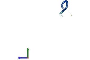 AlphaFold protein structure predicition of Mouse Recombinant Ccdc153 Protein, UniprotID P0C7Q1
