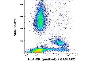 Flow cytometry surface staining pattern of human peripheral whole blood stained using anti-human HLA-DR (MEM-12) purified antibody (concentration in sample 0,3 μg/mL, GAM APC).