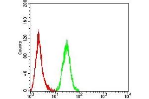 Flow cytometric analysis of Hela cells using XIAP mouse mAb (green) and negative control (red). (XIAP antibody  (AA 1-268))