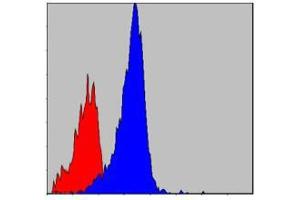 Flow cytometric analysis of NIH/3T3 cells using CRKL mouse mAb (blue) and negative control (red). (CrkL antibody)