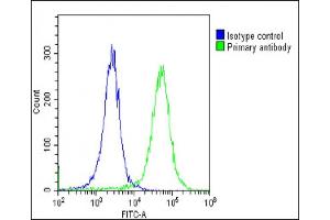 Flow Cytometry (FACS) image for anti-CD59 (CD59) (AA 74-110) antibody (ABIN6242239)