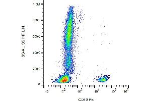 Flow cytometry analysis (surface staining) of human peripheral blood cells with anti-human CD19 (LT19) PE. (CD19 antibody  (PE))