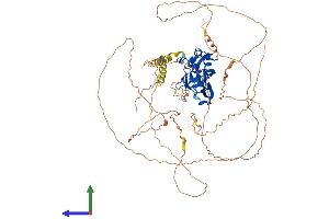 AlphaFold protein structure predicition of Mouse Recombinant Tbx3 Protein, UniprotID P70324 (TBX3 Protein (AA 1-741) (His tag))