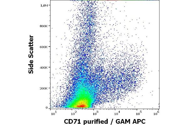 Transferrin Receptor antibody