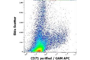Flow cytometry surface staining pattern of human PHA stimulated peripheral blood mononuclear cells stained using anti-human CD71 (MEM-75) purified antibody (concentration in sample 0. (Transferrin Receptor antibody)