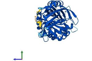 Protein Structure (PS) image for serpin Peptidase Inhibitor, Clade B (Ovalbumin), Member 5 (SERPINB5) (AA 1-375) protein (His tag) (ABIN7546157)