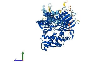 AlphaFold protein structure predicition of Human Recombinant HSPA6 Protein, UniprotID P17066