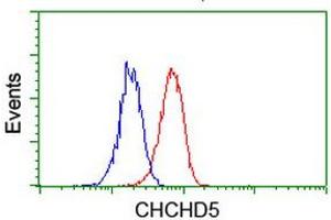 Image no. 8 for anti-Coiled-Coil-Helix-Coiled-Coil-Helix Domain Containing 5 (CHCHD5) (AA 1-110) antibody (ABIN1490561) (CHCHD5 antibody  (AA 1-110))