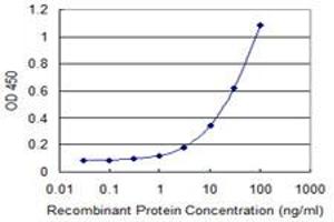Detection limit for recombinant GST tagged OGN is 0. (OGN antibody  (AA 200-298))