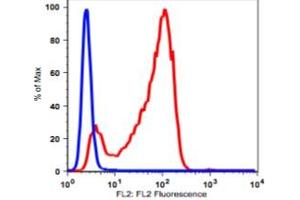 Image no. 2 for anti-CD7 (CD7) antibody (PE) (ABIN2704323) (CD7 antibody  (PE))