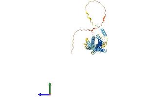 AlphaFold protein structure predicition of Mouse Recombinant Stx5 Protein, UniprotID Q8K1E0 (Syntaxin 5 Protein (STX5) (AA 1-355) (His tag))