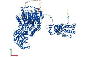Protein Structure (PS) image for ATP Citrate Lyase (ACLY) (AA 1-1091) protein (His tag) (ABIN7564780)