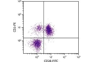 Chicken peripheral blood lymphocytes were stained with Mouse Anti-Chicken CD28-FITC. (CD28 antibody  (FITC))