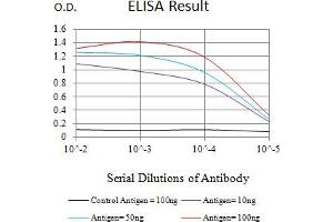 Black line: Control Antigen (100 ng),Purple line: Antigen (10 ng), Blue line: Antigen (50 ng), Red line:Antigen (100 ng) (14-3-3 theta antibody  (AA 1-245))