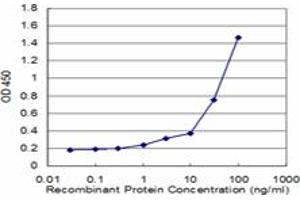 Detection limit for recombinant GST tagged POLQ is approximately 1ng/ml as a capture antibody. (POLQ antibody  (AA 2572-2680))
