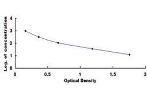 Growth Hormone Releasing Hormone (GHRH) ELISA Kit