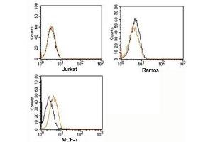 Flow Cytometry (FACS) image for Rabbit IgG isotype control (PE) (ABIN3023749)