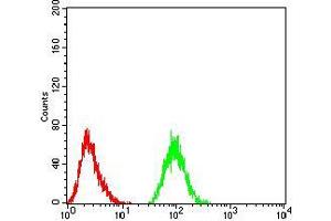 Flow cytometric analysis of Jurkat cells using THAP1 mouse mAb (green) and negative control (red). (THAP1 antibody  (AA 1-213))