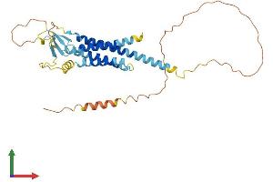 Protein Structure (PS) image for Calcium Channel, Voltage-Dependent, gamma Subunit 4 (CACNG4) (AA 1-327) protein (His tag) (ABIN7553048)