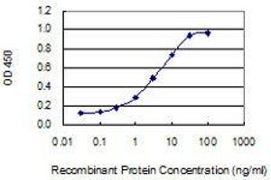 Detection limit for recombinant GST tagged NME4 is 0. (NME4 antibody  (AA 99-187))