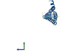 AlphaFold protein structure predicition of Human Recombinant ALOX5AP Protein, UniprotID P20292 (ALOX5AP Protein (AA 1-161) (His tag))