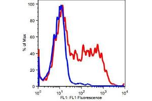 Image no. 2 for anti-Selectin L (SELL) antibody (ABIN2704308) (L-Selectin antibody)