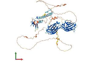 AlphaFold protein structure predicition of Mouse Recombinant Rph3a Protein, UniprotID P47708