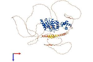 AlphaFold protein structure predicition of Mouse Recombinant Senp5 Protein, UniprotID Q6NXL6 (SENP5 Protein (AA 1-749) (His tag))