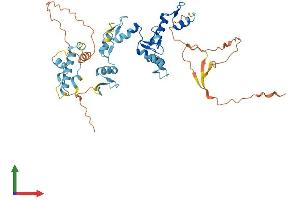 AlphaFold protein structure predicition of Human Recombinant ZNF621 Protein, UniprotID Q6ZSS3